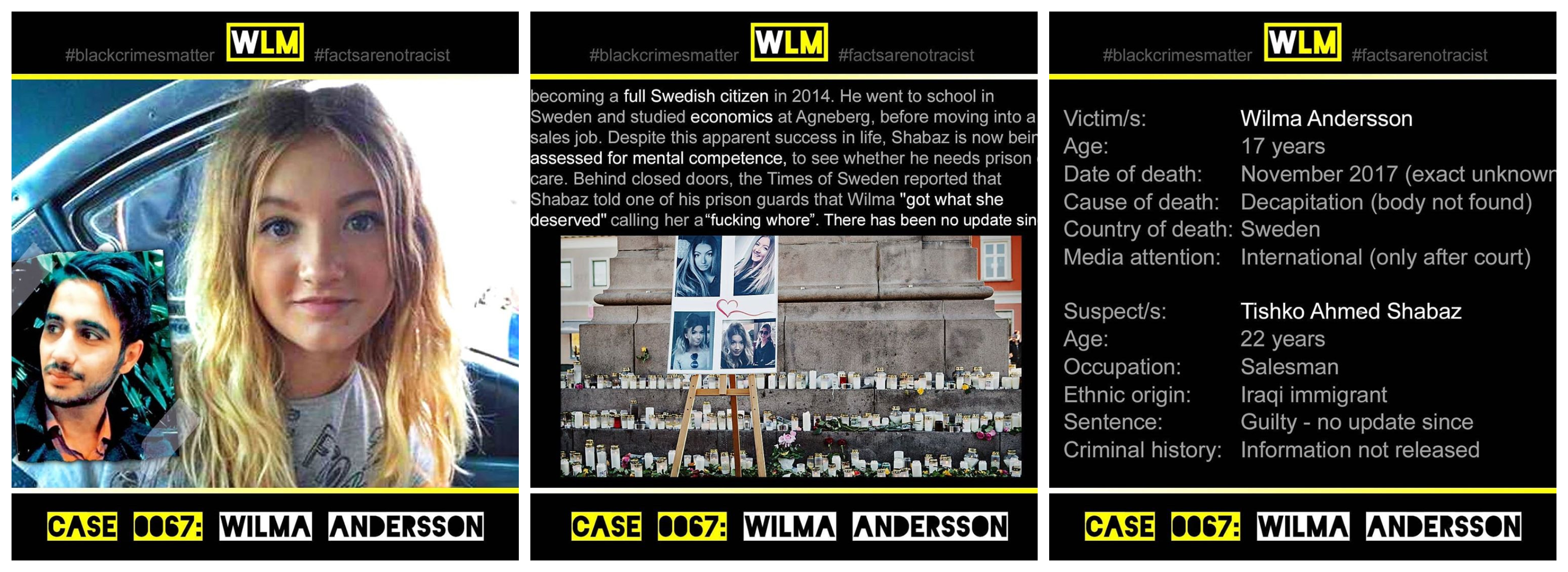 case-067-wilma-andersson
